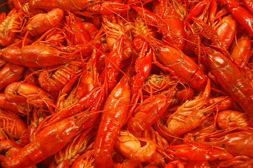 Fresh Louisiana Crawfish
